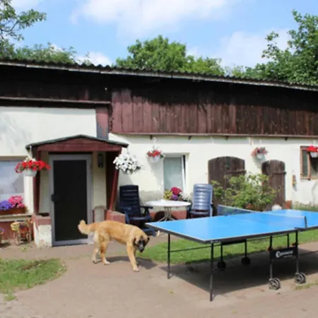 Heidi * Zinnowitz